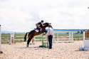 Showjumping